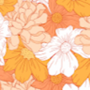 Meet your Posher, Emerson